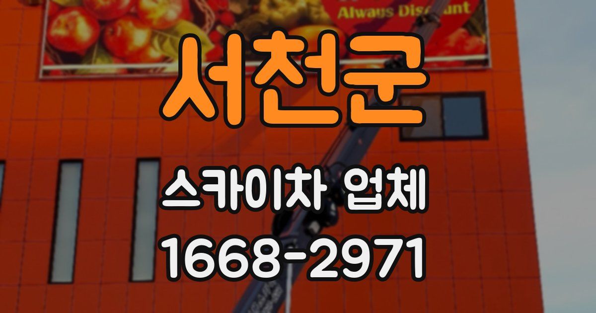 서천군 스카이차 업체