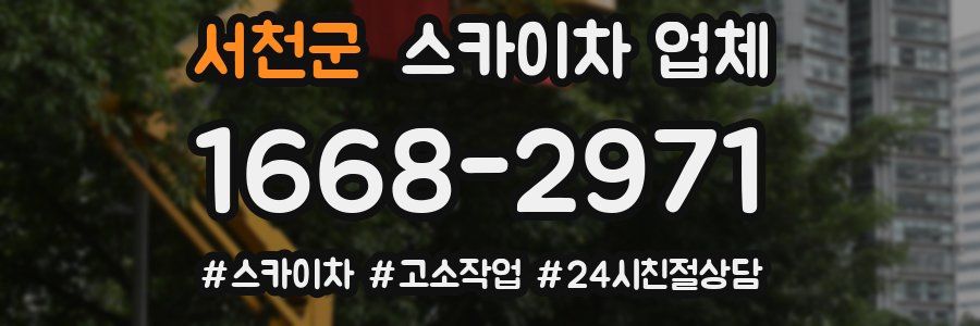 서천군 스카이차 업체