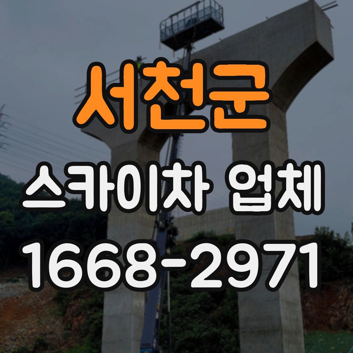 서천군 스카이차 업체