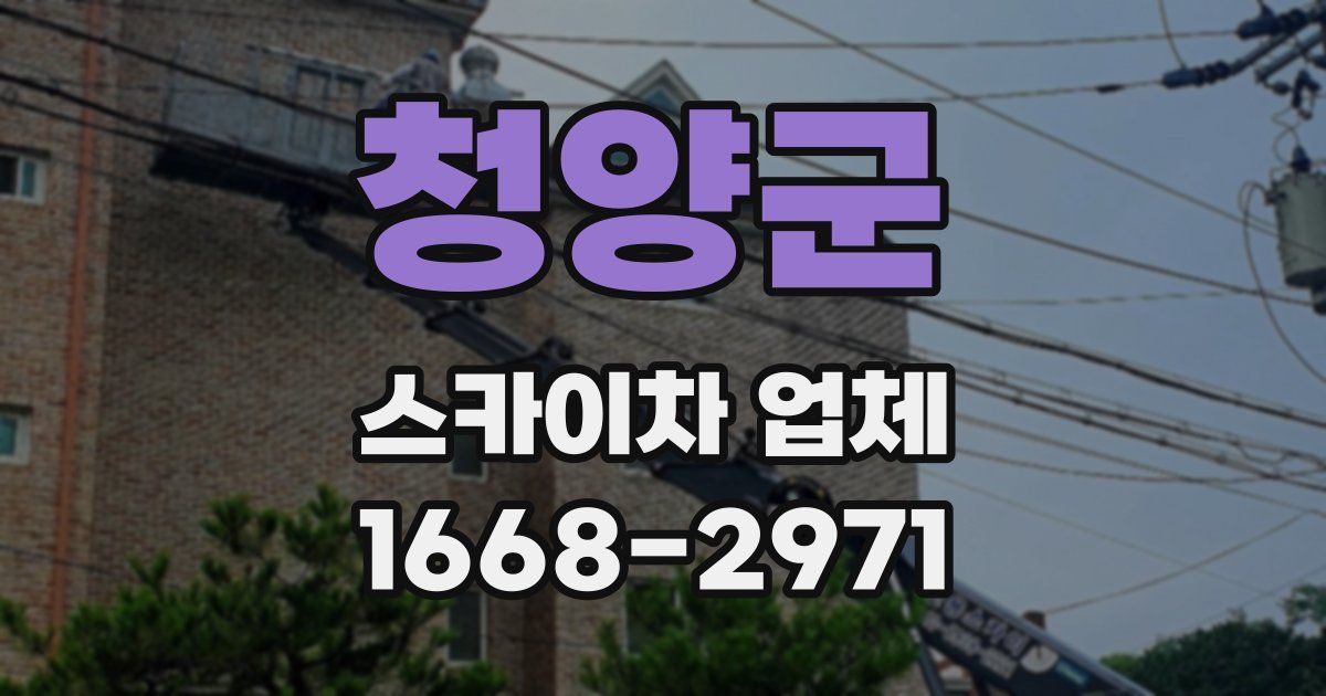 청양군 스카이차 업체