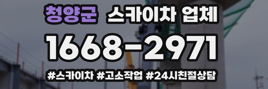 청양군 스카이차 업체