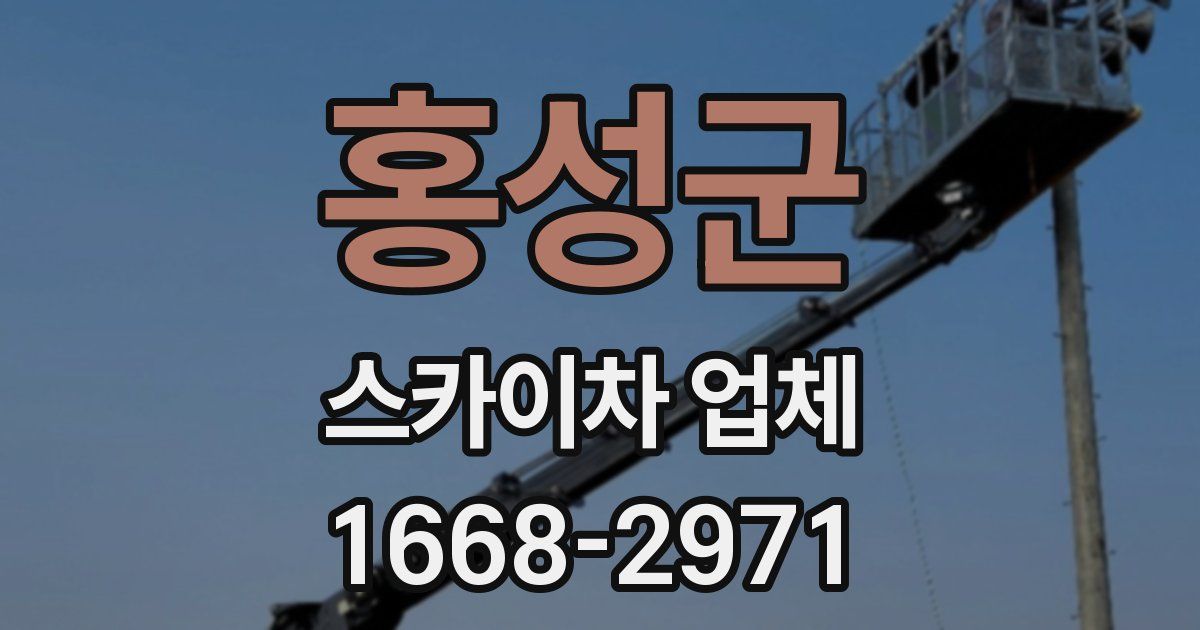 홍성군 스카이차 업체