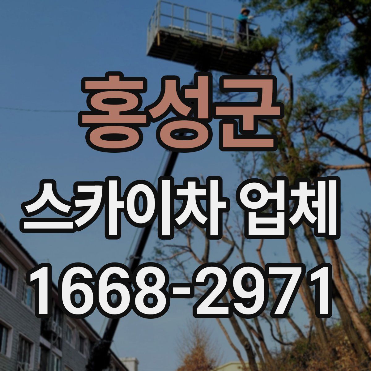 홍성군 스카이차 업체