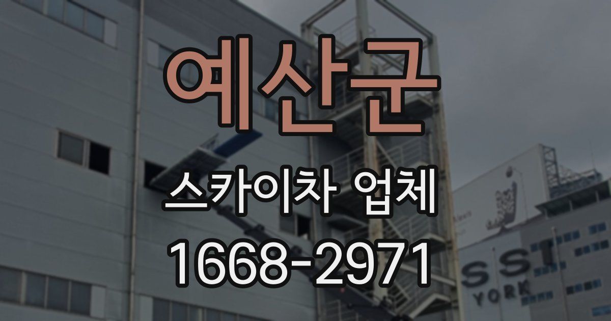 예산군 스카이차 업체