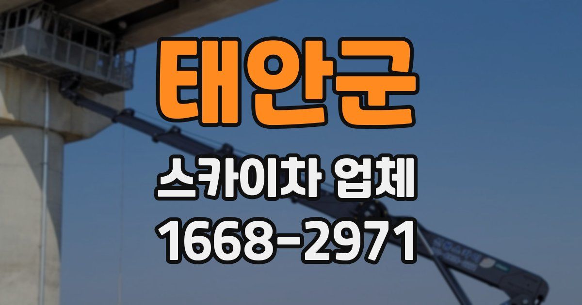 태안군 스카이차 업체