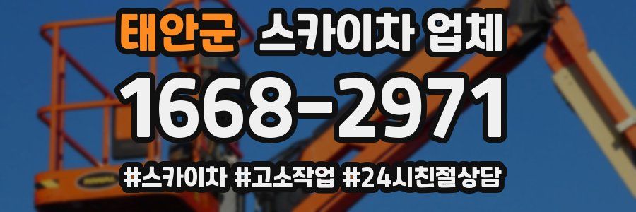 태안군 스카이차 업체