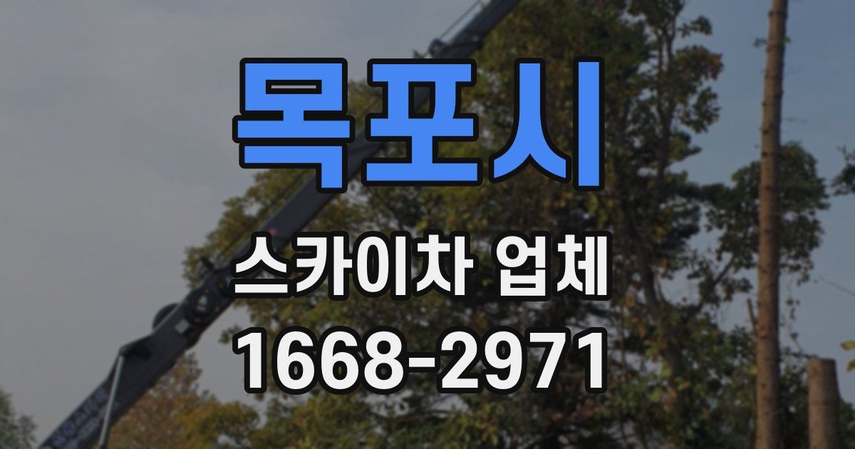 목포시 스카이차 업체