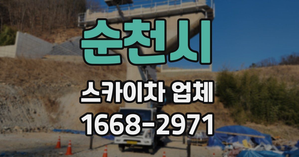 순천시 스카이차 업체