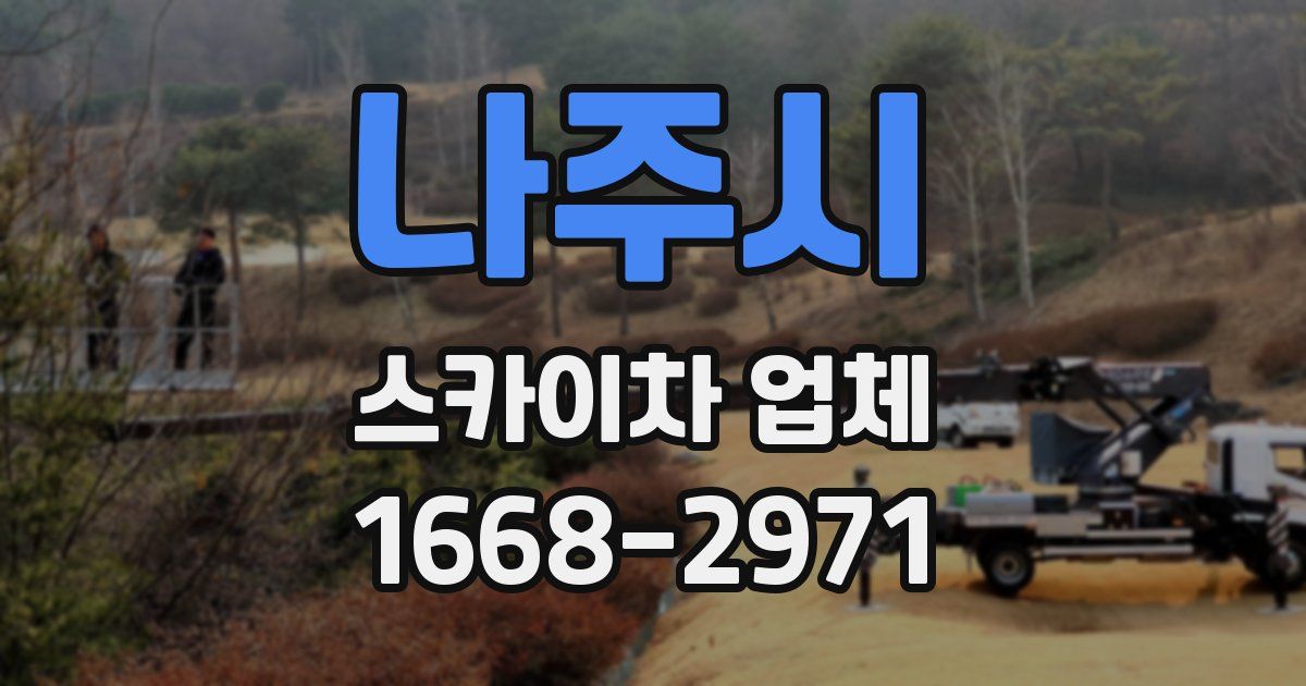 나주시 스카이차 업체