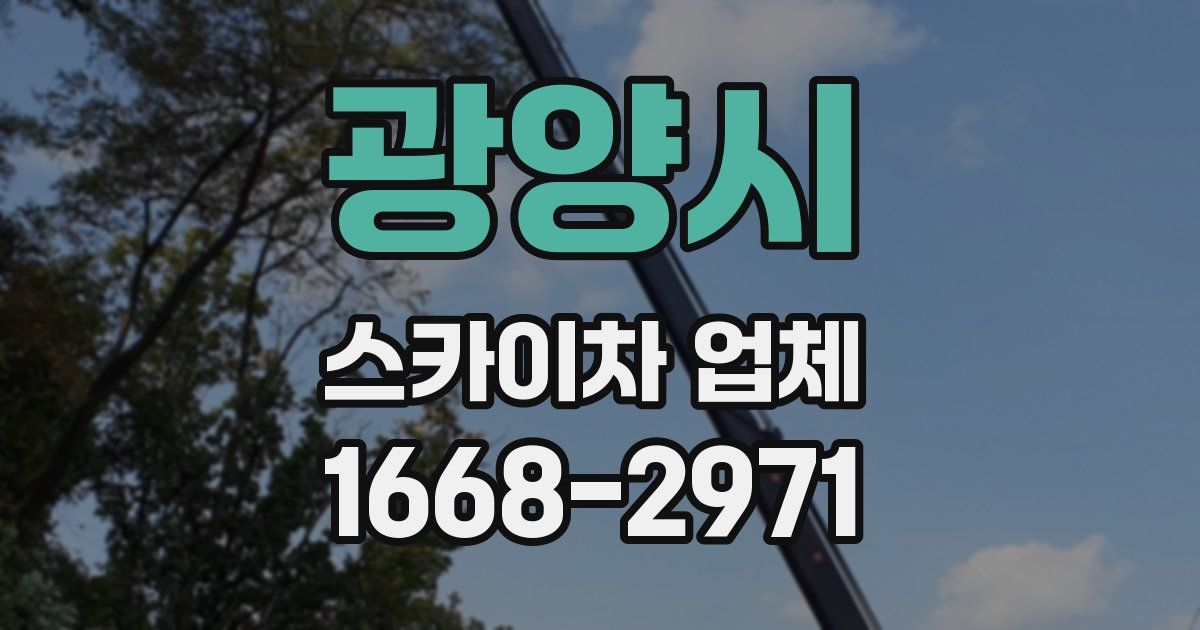 광양시 스카이차 업체