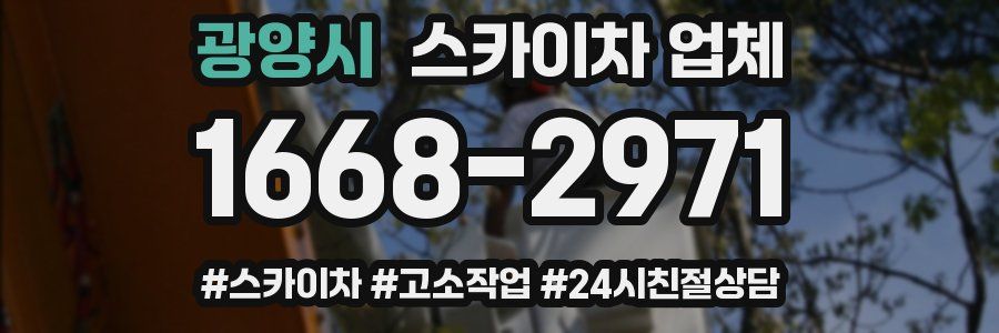 광양시 스카이차 업체