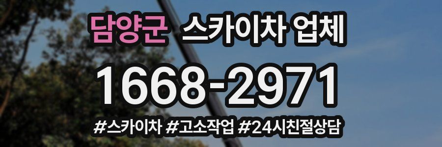 담양군 스카이차 업체