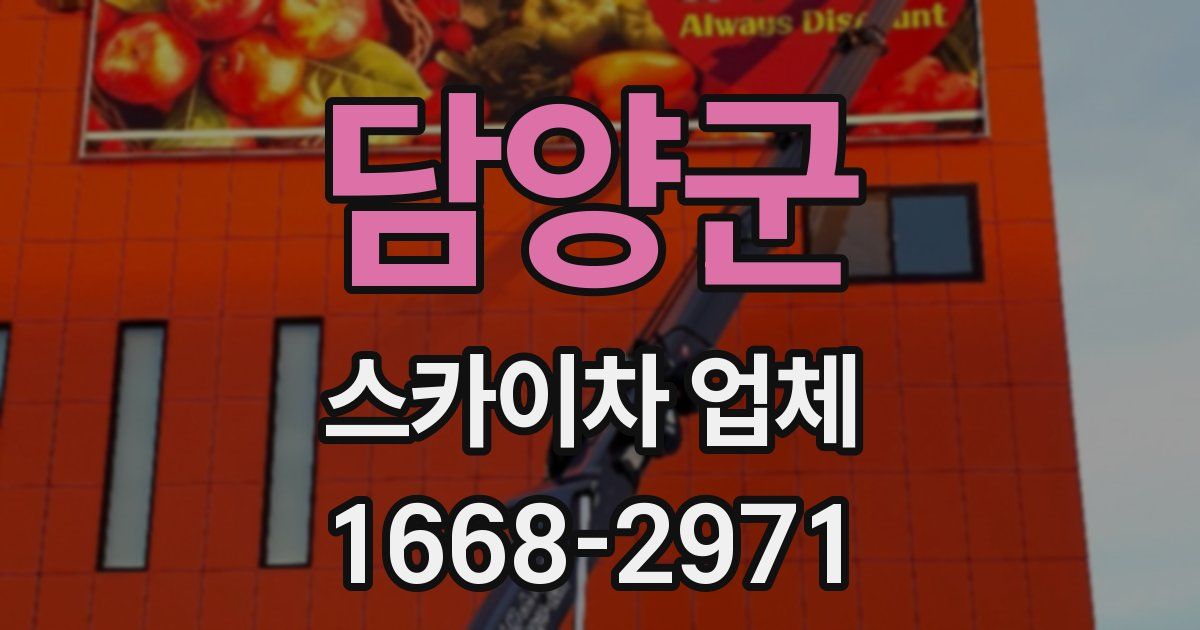 담양군 스카이차 업체