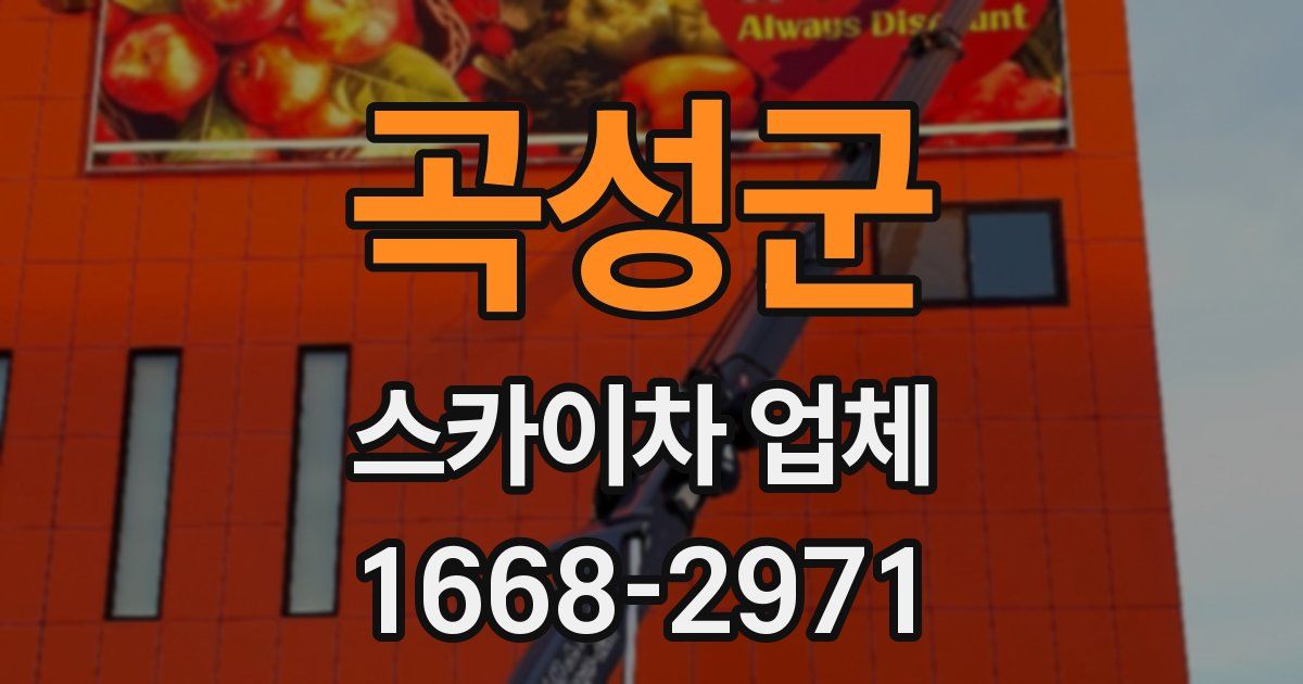 곡성군 스카이차 업체