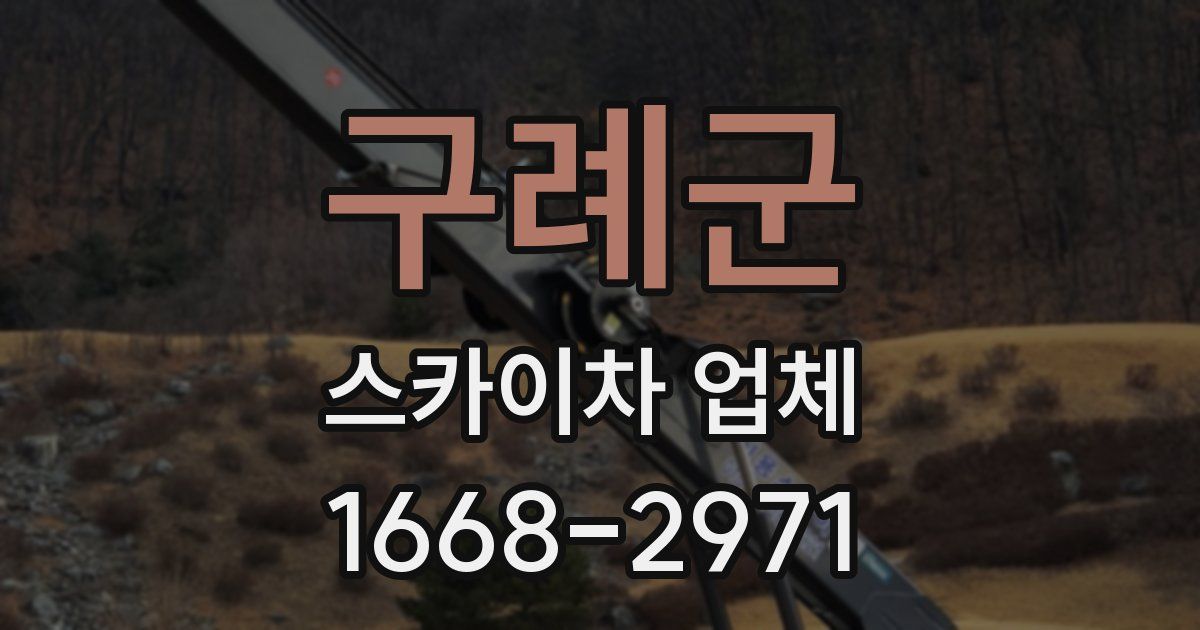 구례군 스카이차 업체