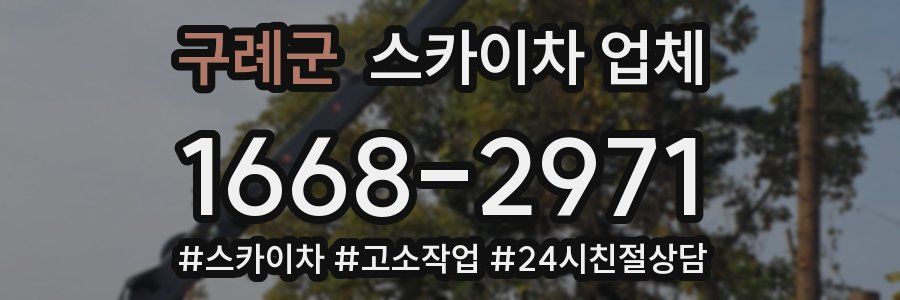 구례군 스카이차 업체