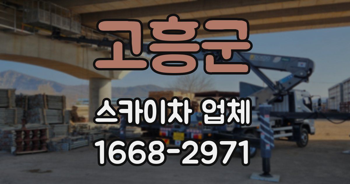 고흥군 스카이차 업체