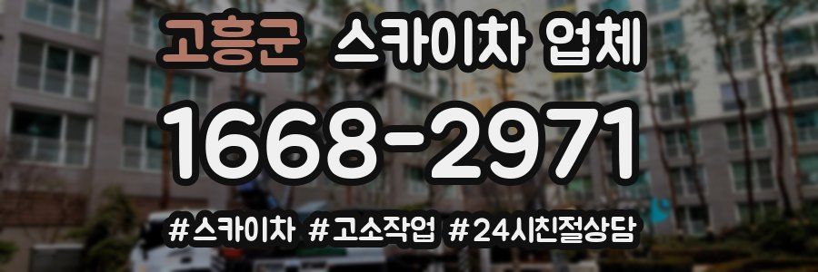 고흥군 스카이차 업체