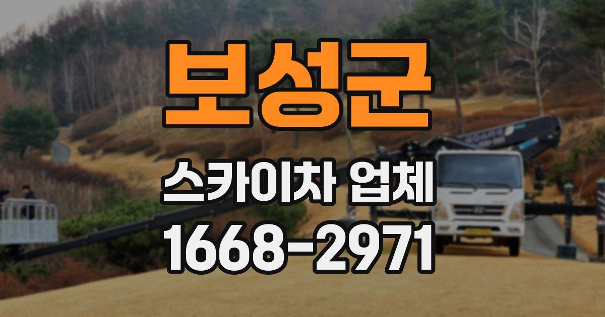 보성군 스카이차 업체