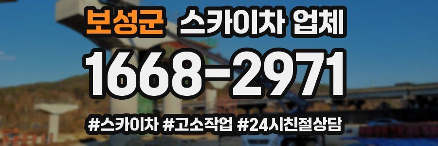 보성군 스카이차 업체