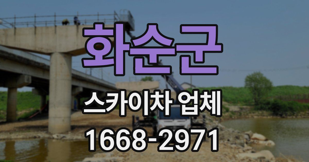 화순군 스카이차 업체