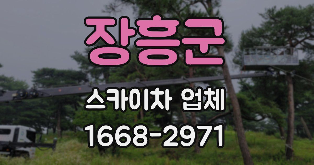 장흥군 스카이차 업체