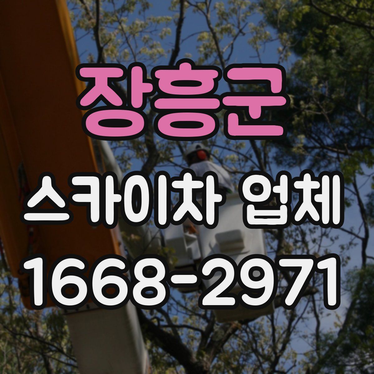 장흥군 스카이차 업체