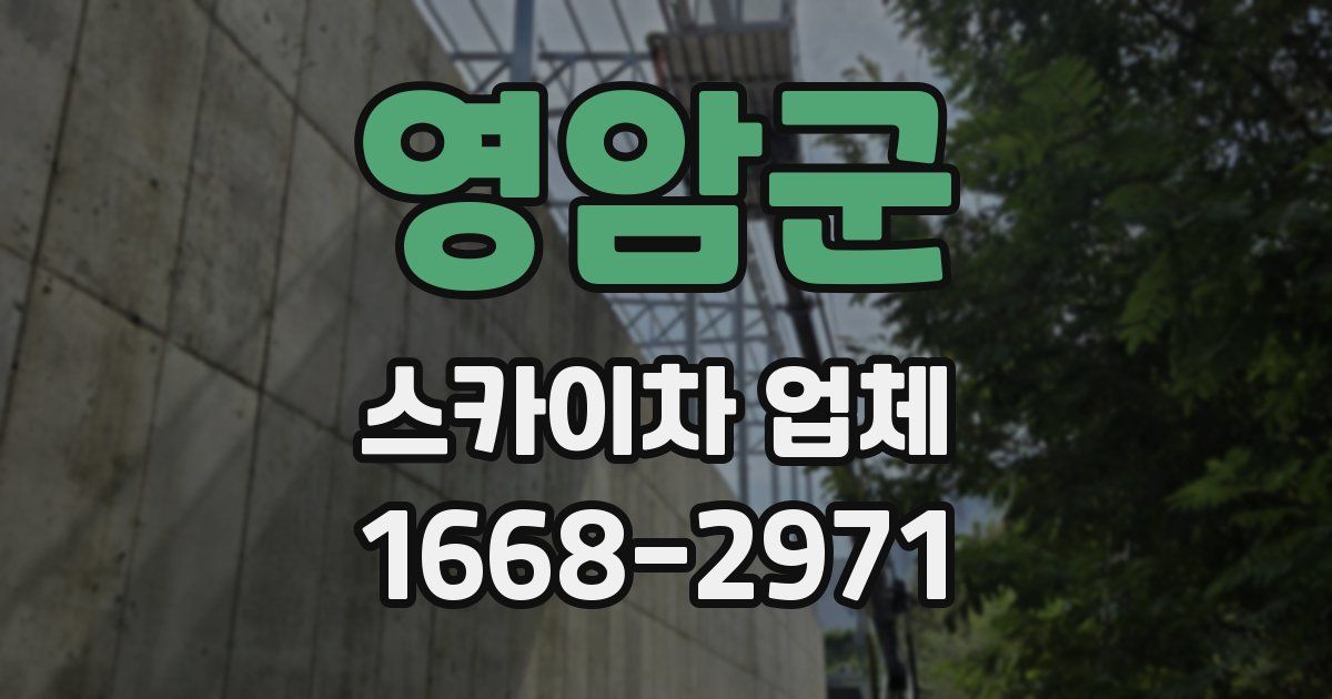 영암군 스카이차 업체