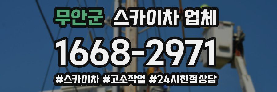 무안군 스카이차 업체