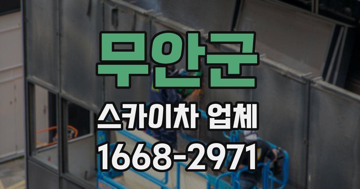 무안군 스카이차 업체
