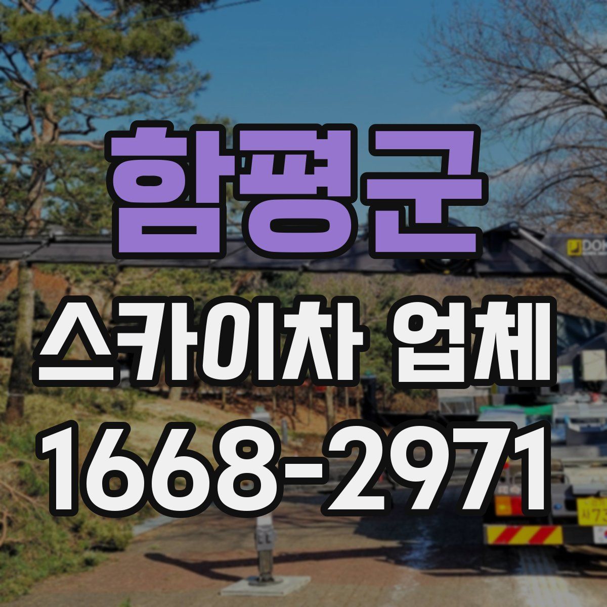 함평군 스카이차 업체