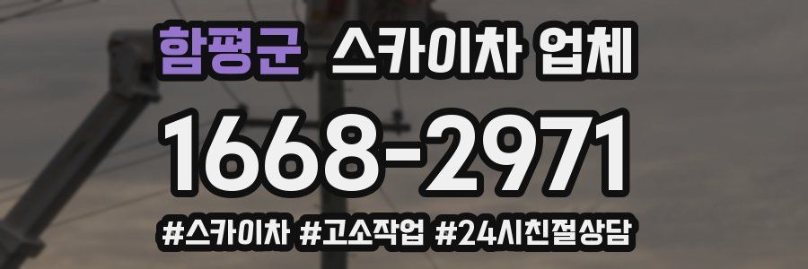 함평군 스카이차 업체