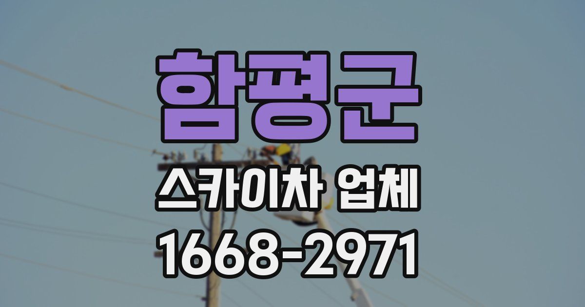 함평군 스카이차 업체