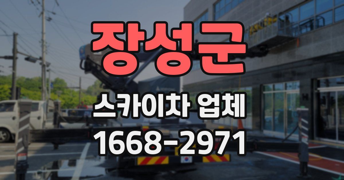 장성군 스카이차 업체