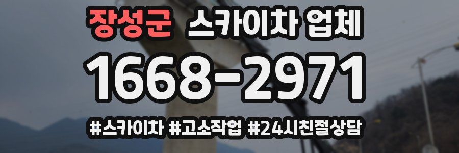 장성군 스카이차 업체