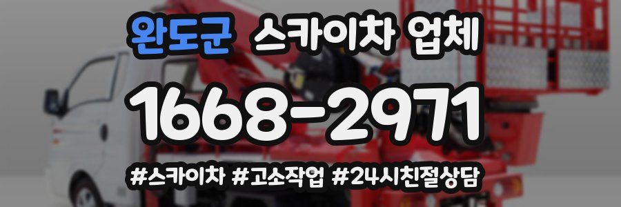 완도군 스카이차 업체