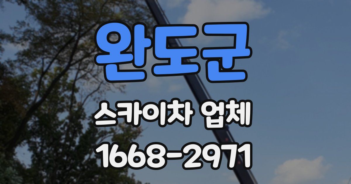 완도군 스카이차 업체
