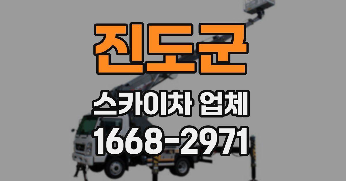 진도군 스카이차 업체
