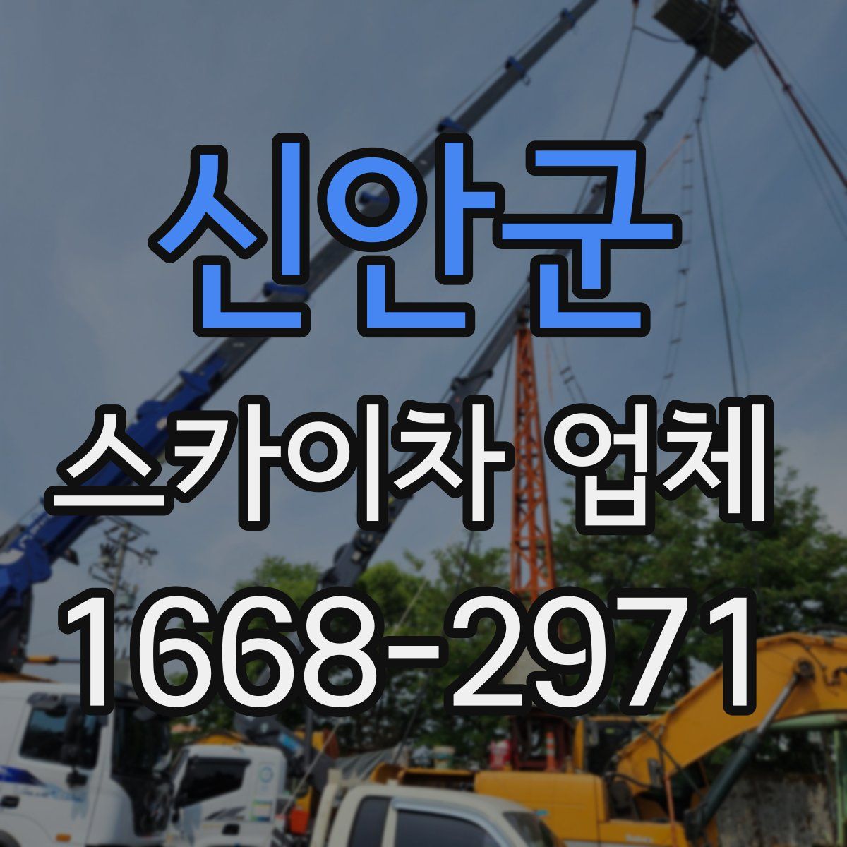 신안군 스카이차 업체