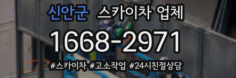 신안군 스카이차 업체