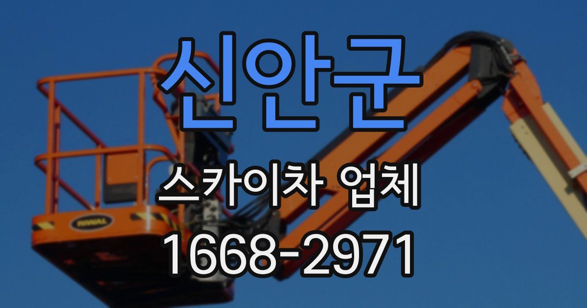 신안군 스카이차 업체