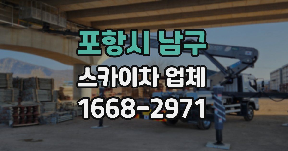 포항시 남구 스카이차 업체