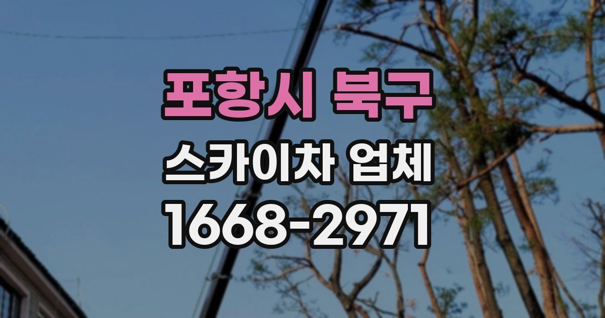 포항시 북구 스카이차 업체