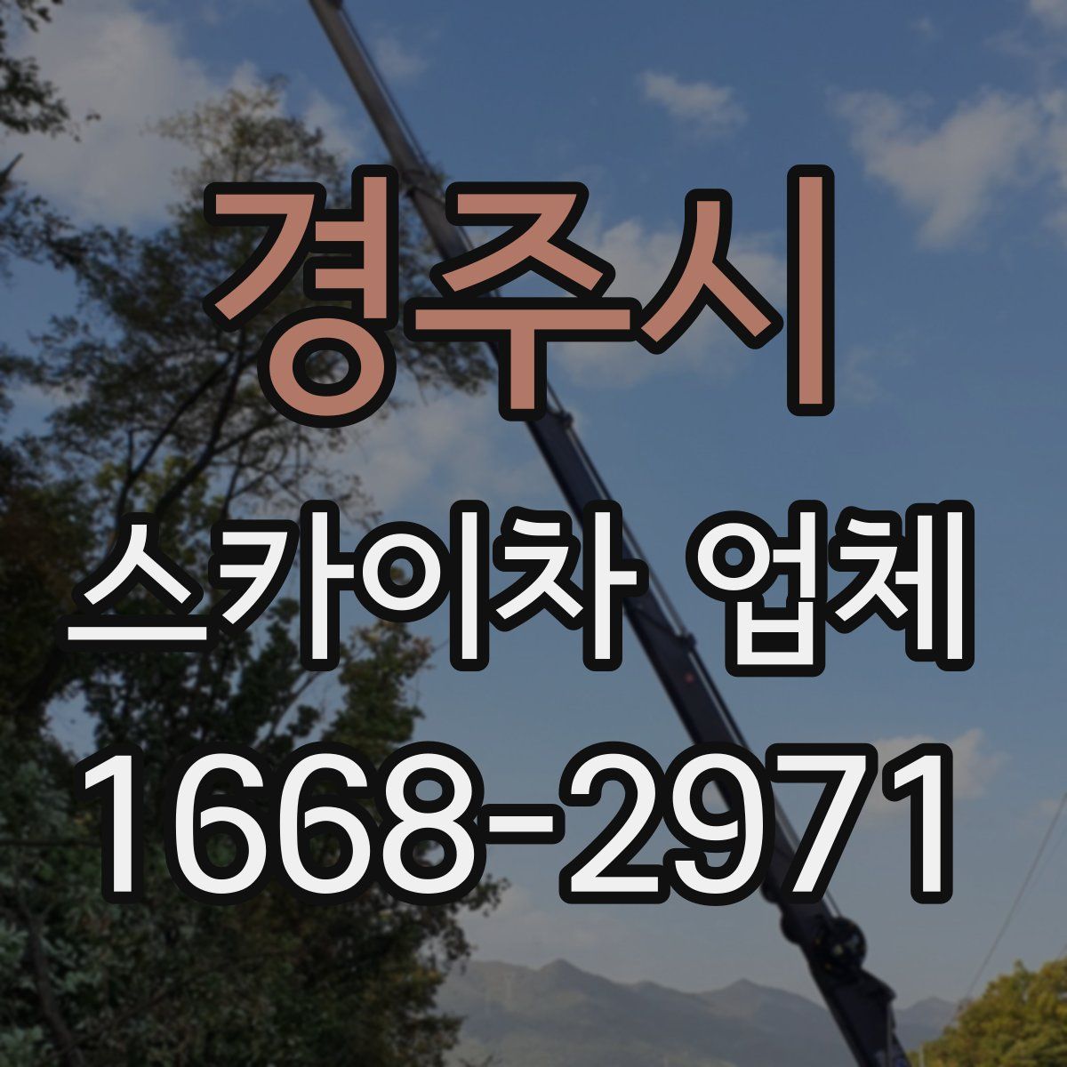 경주시 스카이차 업체