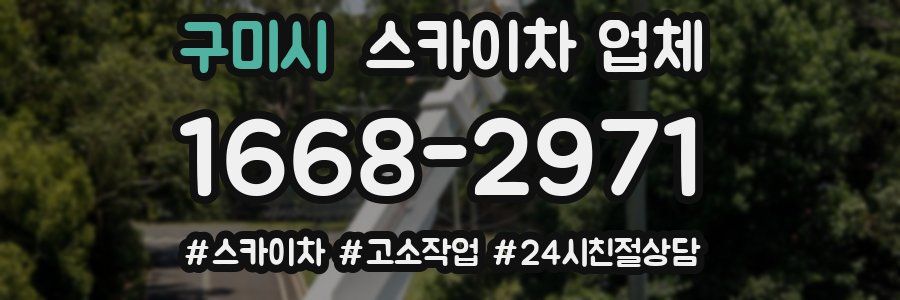 구미시 스카이차 업체