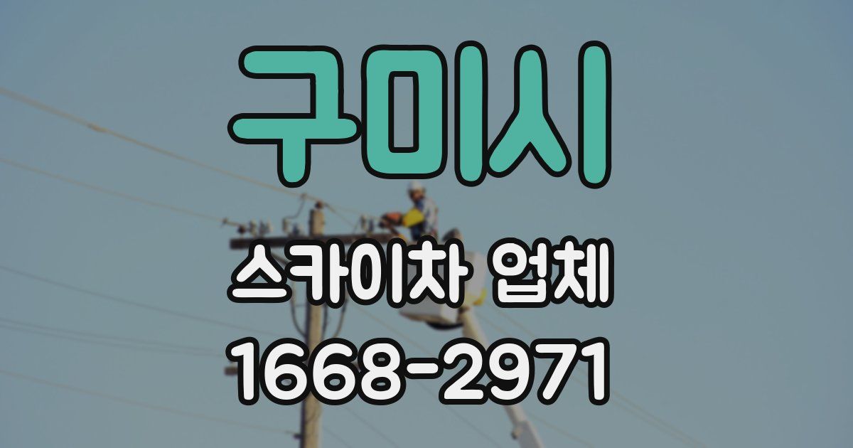 구미시 스카이차 업체