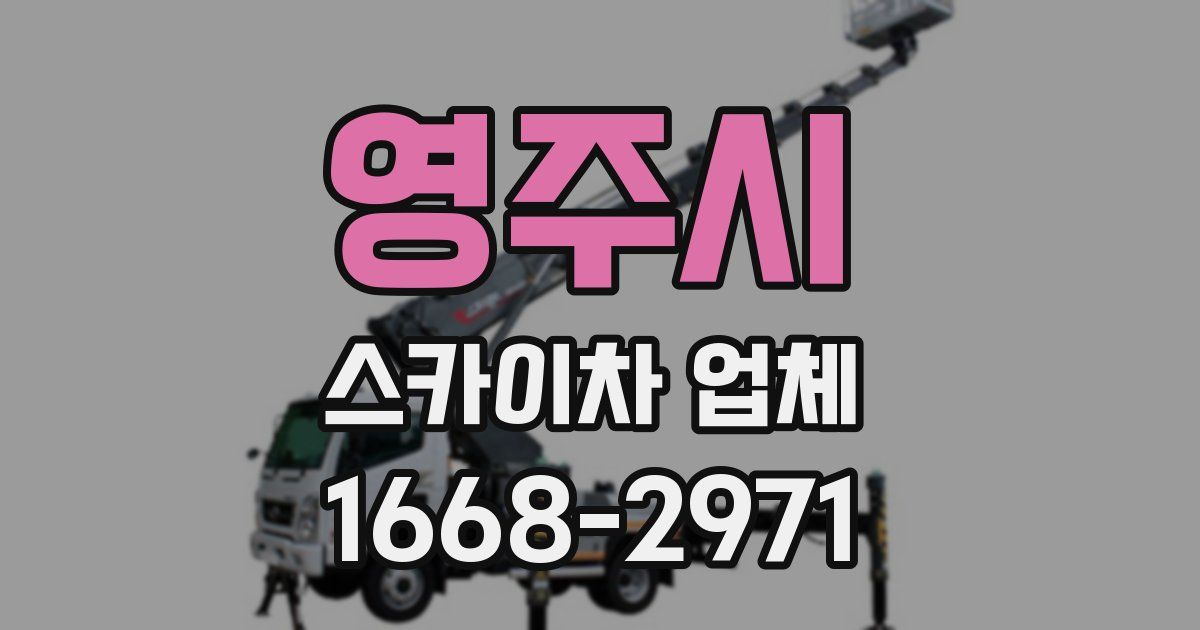 영주시 스카이차 업체
