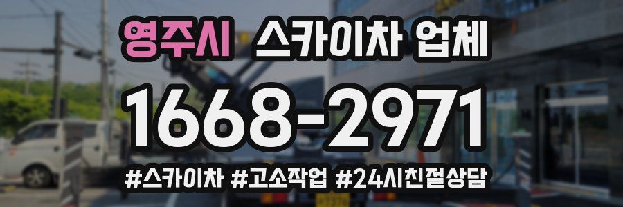 영주시 스카이차 업체