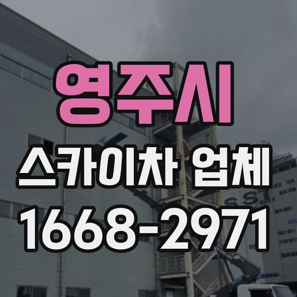 영주시 스카이차 업체