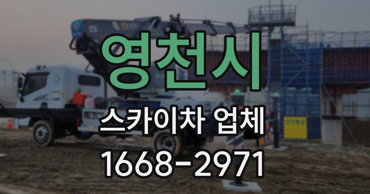 영천시 스카이차 업체